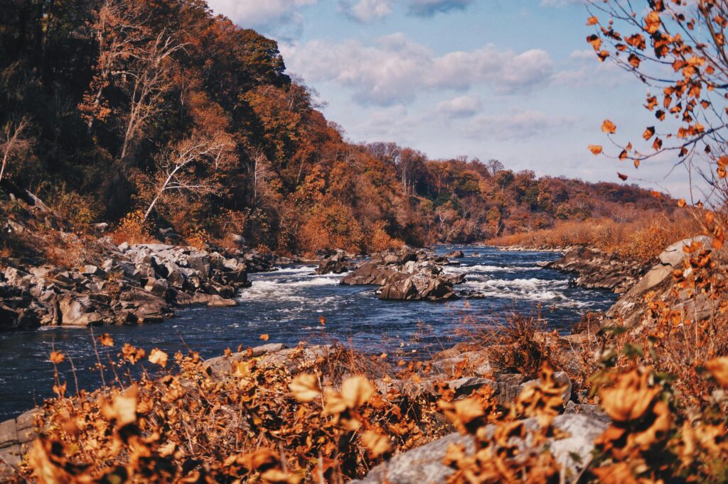 Flowing water at the Great Falls with colorful fall foliage around.
